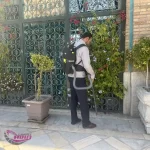 تمیز کردن گلها با جاروبرقی مدل BVL5/1